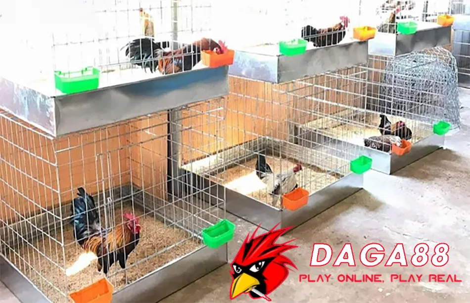 DAGA88 Các Mô Hình Chuồng Gà Chọi Phổ Biến: Lựa Chọn Tối Ưu Cho Bạn