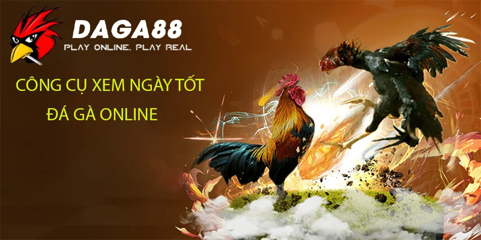 DAGA88 Công Cụ Xem Ngày Tốt Đá Gà Online: Nhanh Chóng, Tiện Lợi, Chính Xác