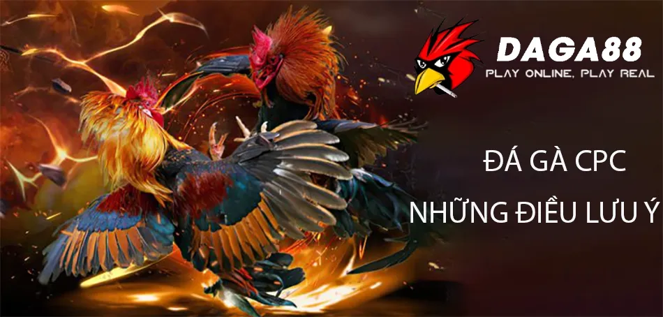 Đá Gà CPC Là Gì? Tìm Hiều Các Hình Thức Đá Gà CPC Hiện Nay 3 Đá gà CPC – Những điều cần lưu ý DAGA88