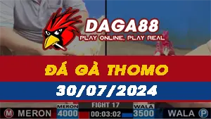 Tổng hợp 43 Video đá gà CPC3 ngày 30/7/2024