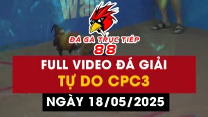 FULL VIDEO ĐÁ GIẢI TỰ DO CPC3 - 18/05/2025