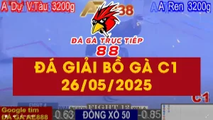 Video Đá Giải Thomo CPC1 ngày 26/05/2025